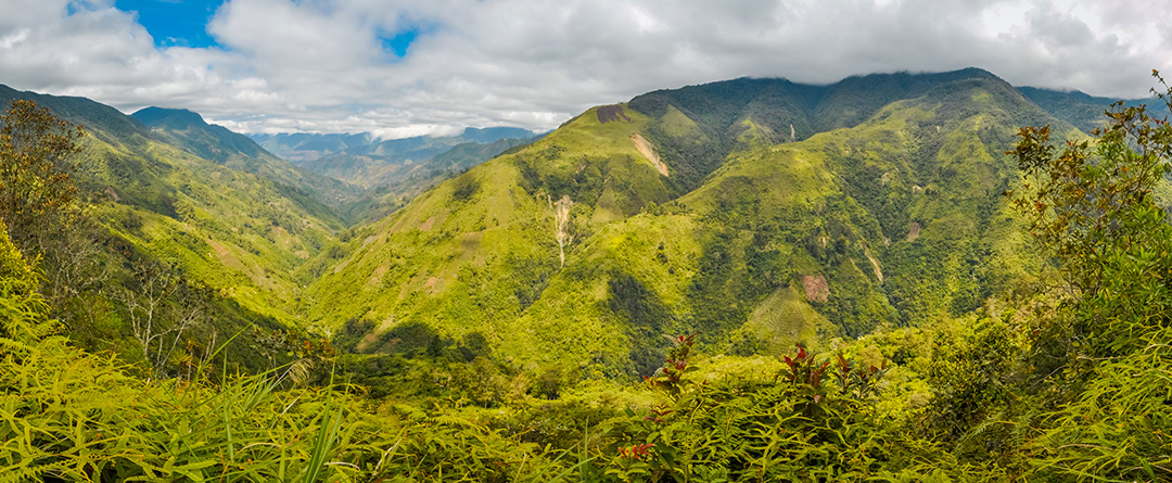 Kratom around the world