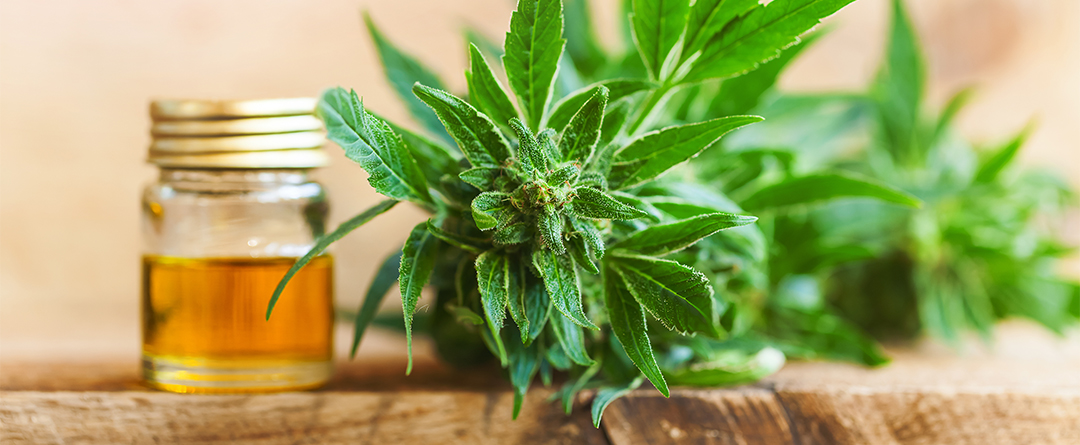 CBD Pursuit Happiness