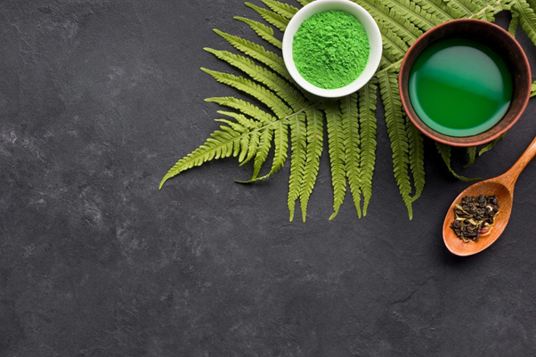 Red Vein Kratom Vs Green